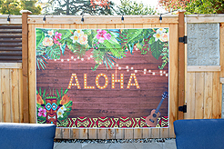 MOMENTUM AND STEPHANIE POLIAKOFF